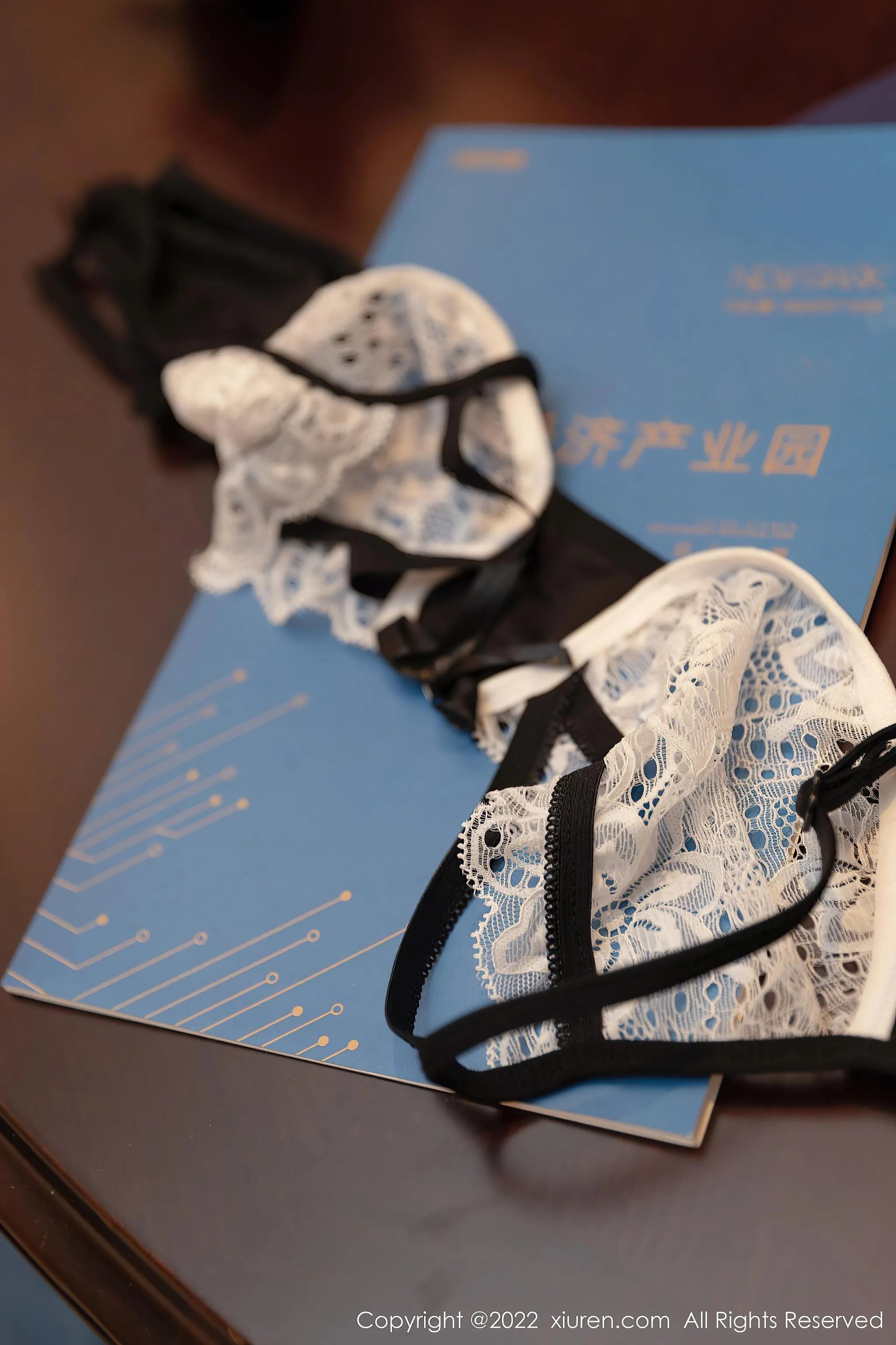 [XIUREN秀人网] 2022.03.25 NO.4775 王雨纯 [50P]插图4